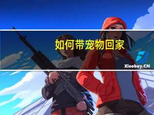 如何带宠物回家