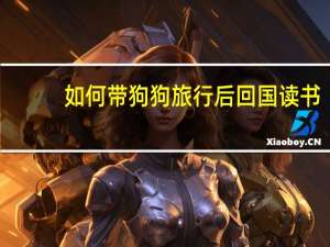 如何带狗狗旅行后回国读书