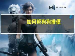 如何帮狗狗排便
