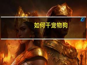 如何干宠物狗