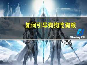如何引导狗狗吃狗粮