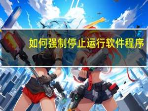 如何强制停止运行软件程序