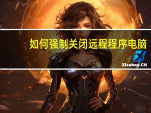 如何强制关闭远程程序电脑