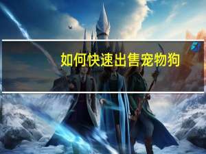 如何快速出售宠物狗