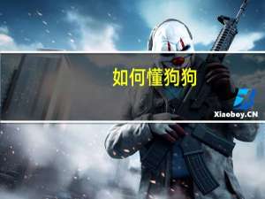 如何懂狗狗