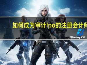 如何成为审计Ipo的注册会计师