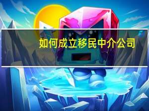 如何成立移民中介公司