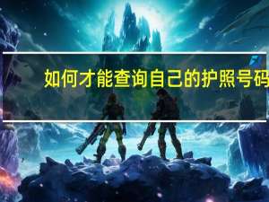 如何才能查询自己的护照号码