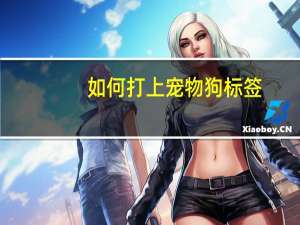 如何打上宠物狗标签