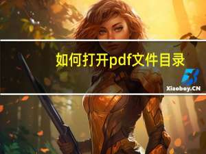 如何打开pdf文件目录（如何打开pdf文件）