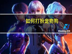 如何打扮宠物狗