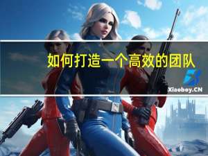 如何打造一个高效的团队