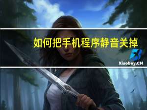 如何把手机程序静音关掉