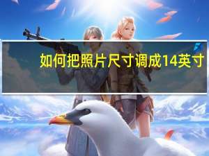 如何把照片尺寸调成14英寸