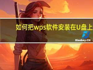 如何把wps软件安装在U盘上（wps安装包下载到u盘）