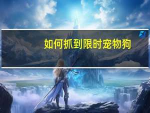 如何抓到限时宠物狗