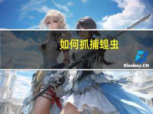 如何抓捕蝗虫