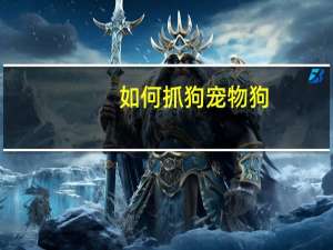 如何抓狗宠物狗