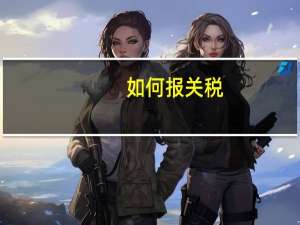 如何报关税
