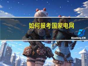 如何报考国家电网