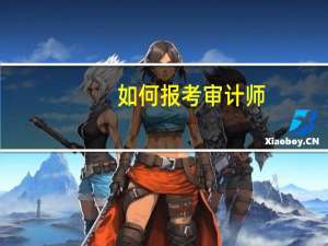 如何报考审计师