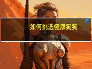 如何挑选健康狗狗