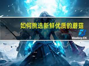 如何挑选新鲜优质的蘑菇