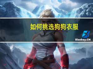如何挑选狗狗衣服