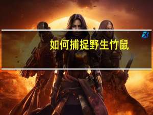 如何捕捉野生竹鼠