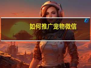 如何推广宠物微信