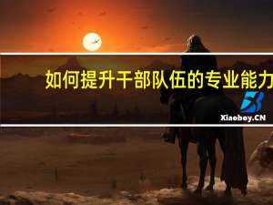 如何提升干部队伍的专业能力