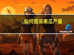 如何提高南瓜产量