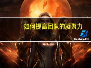 如何提高团队的凝聚力