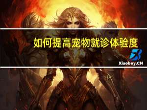 如何提高宠物就诊体验度