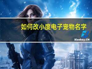 如何改小度电子宠物名字