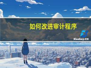 如何改进审计程序