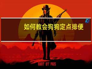 如何教会狗狗定点排便