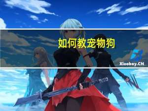 如何教宠物狗