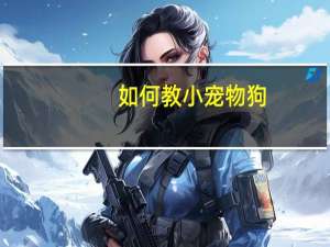如何教小宠物狗