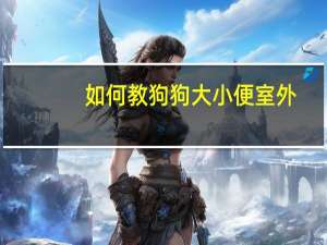 如何教狗狗大小便室外