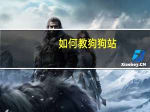 如何教狗狗站