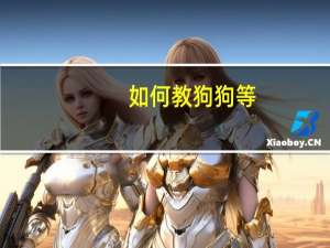 如何教狗狗等