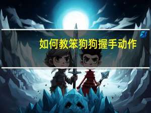 如何教笨狗狗握手动作