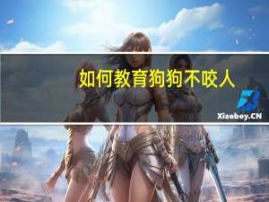如何教育狗狗不咬人