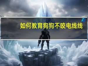 如何教育狗狗不咬电线线