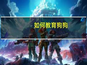 如何教育狗狗