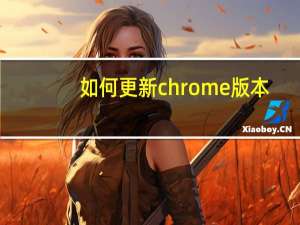 如何更新chrome版本