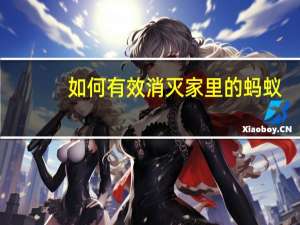 如何有效消灭家里的蚂蚁