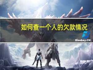 如何查一个人的欠款情况