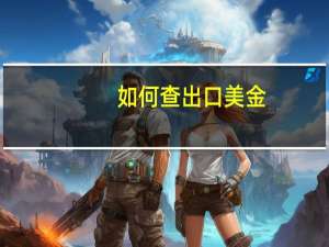 如何查出口美金